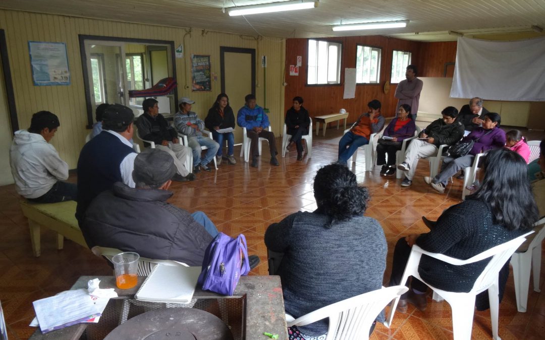 Ingeniería ASGAM realizó Talleres Participativos con Comunidades Indígenas de Panguipulli (Marzo 2014)